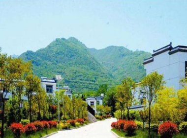 《乡村振兴标准化行动方案》农质发〔2023〕5号