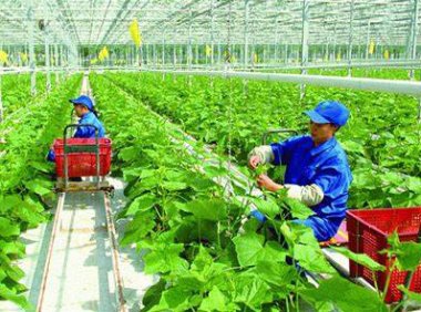 黑龙江省关于组织开展2024年“支持增产扩能”政策兑现工作的通知（2024年3月21日）