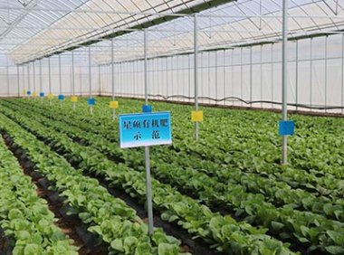 有机生产投入品评估证明流程(2023年版)