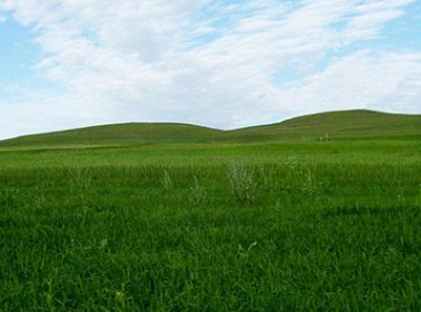 《草品种审定管理规定》农业部公告 第1605号