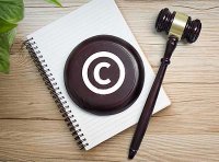 关于市域、县域国家级专利侵权纠纷行政裁决规范化建设试点的批复（国知发保字〔2024〕9号）