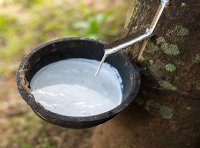 关于实施天然橡胶综合保险政策的通知（财金〔2023〕107号）