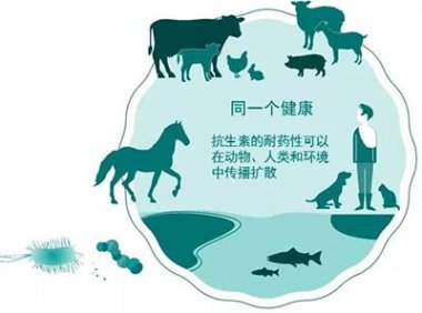 农业农村部办公厅关于加强畜禽标识管理工作的通知（农办牧〔2023〕33号）