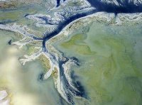 《推进磷资源高效高值利用实施方案》工信部联原﹝2023﹞259号