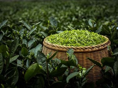 浙江省历史经典产业传承创新发展行动方案（浙制高办〔2024〕23号）